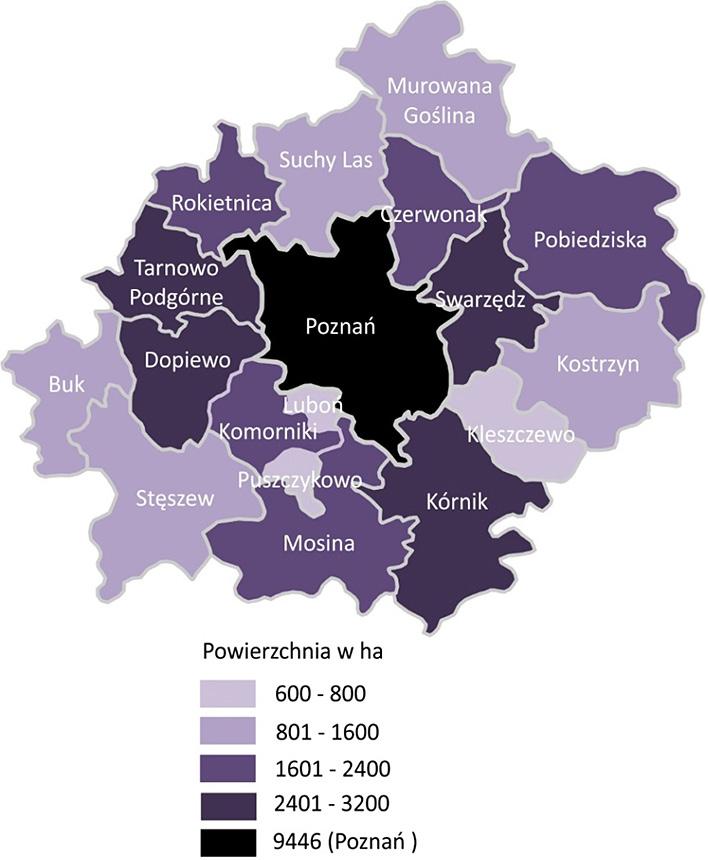 Rozwój funkcji mieszkaniowej w aglomeracji poznańskiej w świetle polityki przestrzennej 101 kietnica).