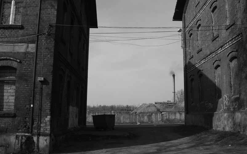 Przybyła, 2013 r. Fot. 4. Bytom Bobrek, wielki nieobecny, czyli ruiny huty tuż za murem.