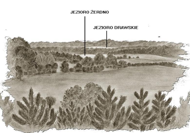 6 Dudzińska A., Szpakowska B., 2008. Ocena walorów krajobrazowych okolicy Spyczynej Góry. Nauka Przyr. Technol. Niedaleko Spyczynej Góry, na wzniesieniu o wysokości 195 m 