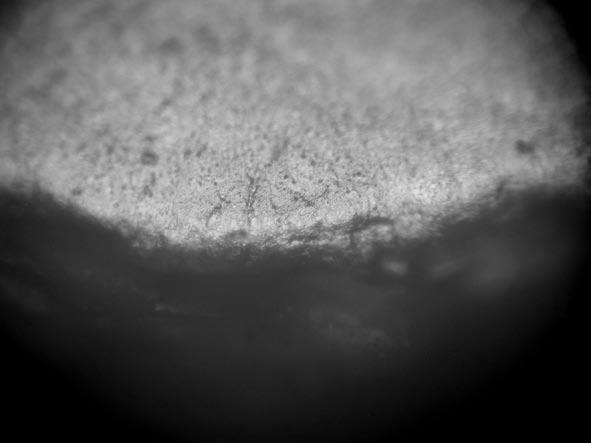 Materials of Linear Band Pottery Culture from site 17 in Małe Radowiska 235 up to 50x (actual magnification up to 500x). Materials were cleaned with pure ethanol alcohol (C 2 H 5 OH).
