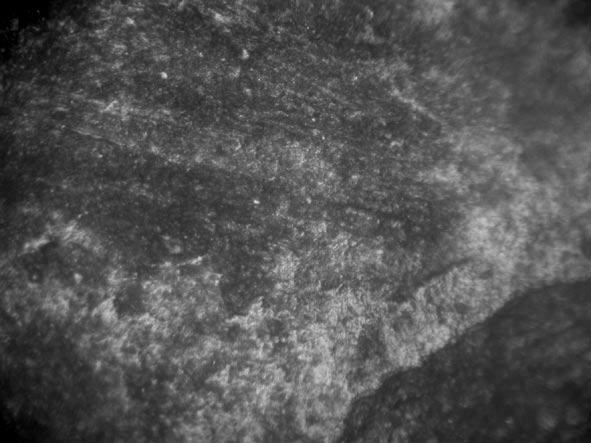Materials of Linear Band Pottery Culture from site 17 in Małe Radowiska 237 Fig. 13. Małe Radowiska, comm. Wąbrzeźno, site 17.