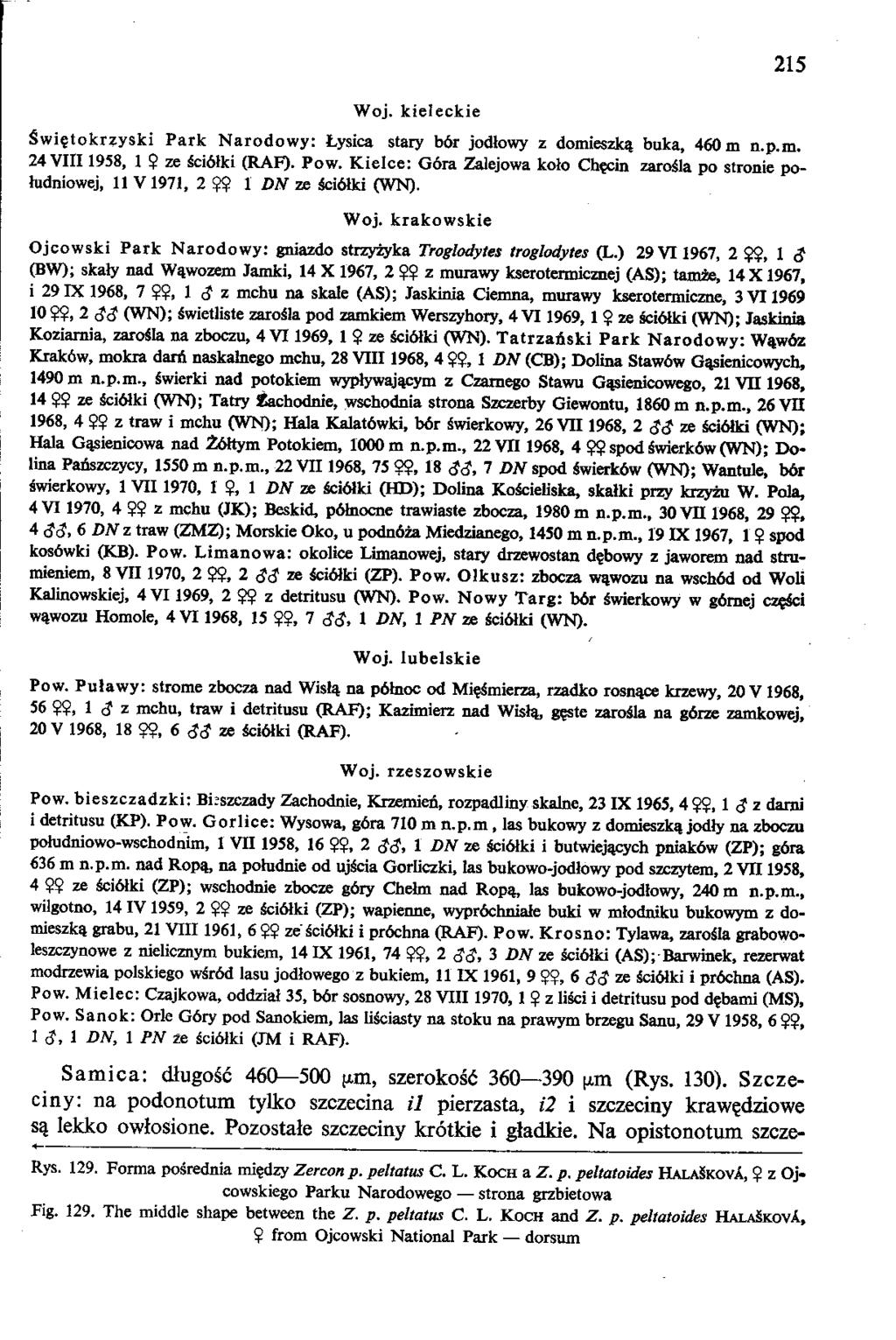 Woj. kieleckie 215 Swie.tokrzyski Park Narodowy: iysica stary b6r jodlowy z domieszka, buka, 460m n.p.m. 24 VIII1958, 1 9 ze Sci61ki (RAF). Pow.