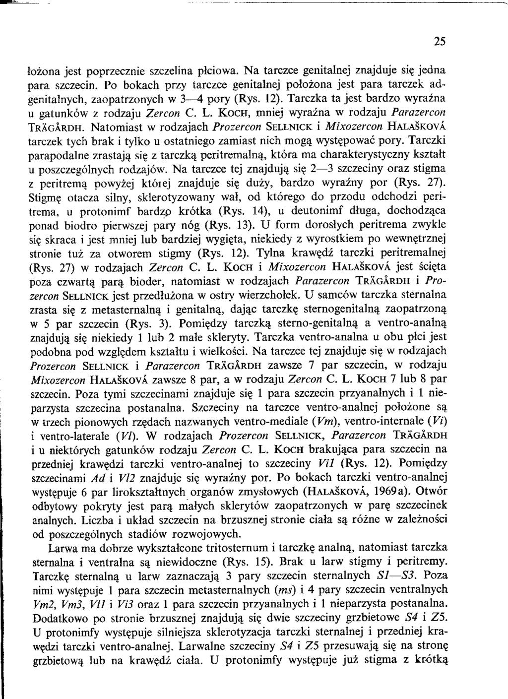 lozona jest poprzecznie szczelina pkiowa. Na tarczce genitalnej znajduje si? jedna para szczecin.