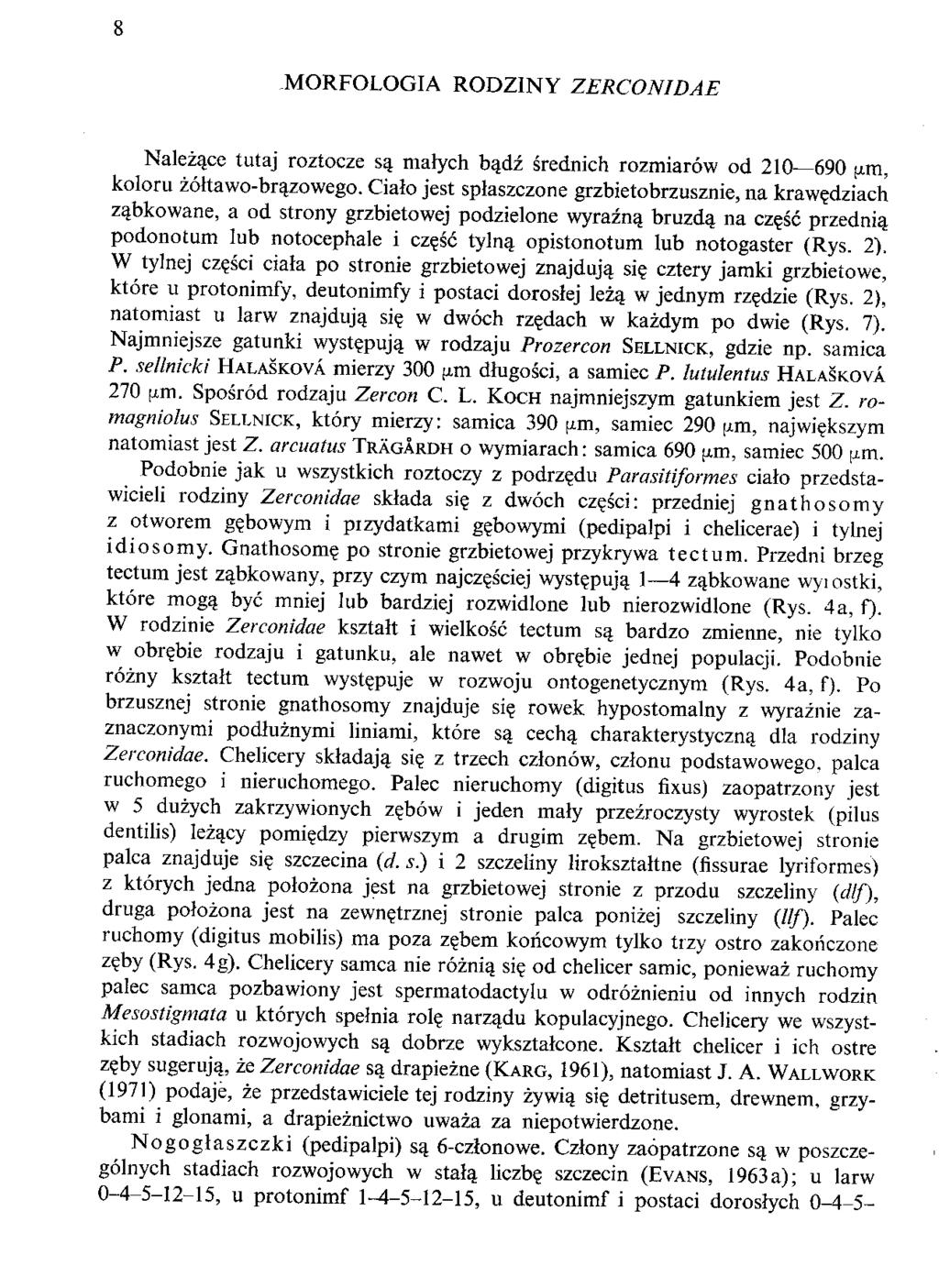 MORFOLOGIA RODZINY ZERCONIDAE Nalezace tutaj roztocze sa. marych b^dz srednich rozmiarow od 210 690 ^ra, koloru zoltawo-brazowego. Cialo jest splaszczone grzbietobrzusznie, na kraw?