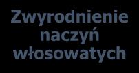 naczyniopochodne Metaanaliza
