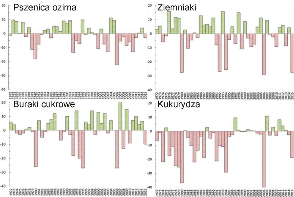 11 Wpływ zmian klimatu na rolnictwo 173 buraków cukrowych i kukurydzy w latach 1972-2015 przedstawiono na rys. 11.2 (za Kozyra i in., 2012).