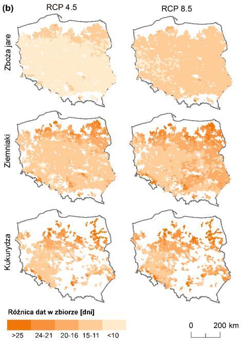 Występowanie białych obszarów związane jest z niskim udziałem danej rośliny w niektórych częściach analizowanego obszaru. Rys. 12.