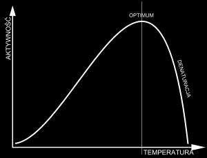 Wpływ temperatury na szybkość reakcji enzymatycznej Wzrost temperatury wywołuje wzrost szybkości reakcji każdej reakcji chemicznej, zgodnie z równaniem Arrheniusa: V k[ S], k Ae Temperatura wpływa na