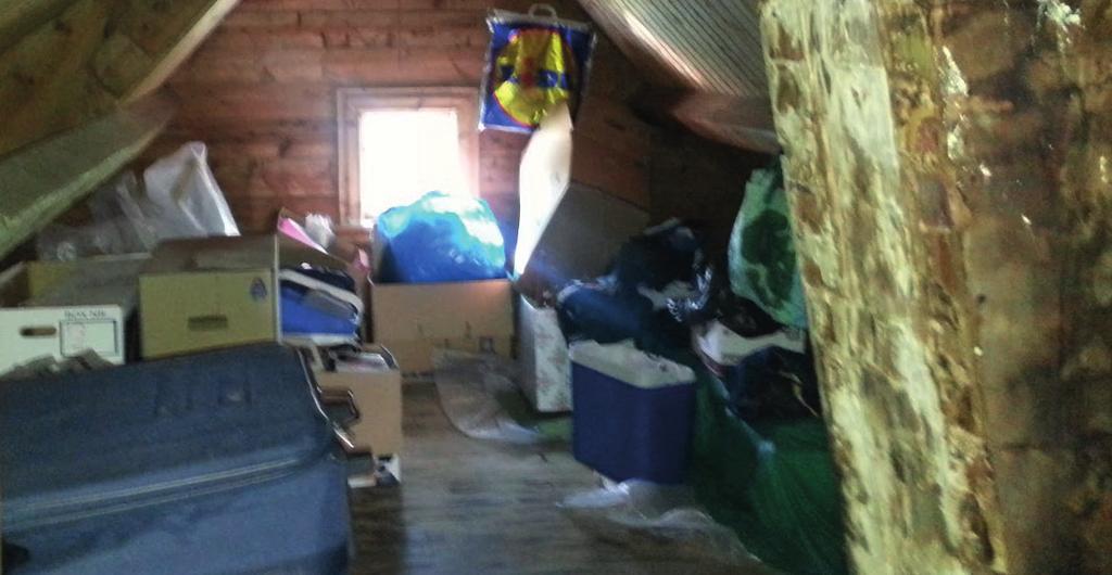 Bądźmy otwarci i życzliwi dla naszych bliźnich.to postawa godna naśladowania Uważaj Na Gryzonie! Piwnice i strychy to raj dla gryzoni.