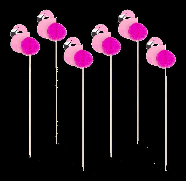 CM, 6 PCS 1 ctn.