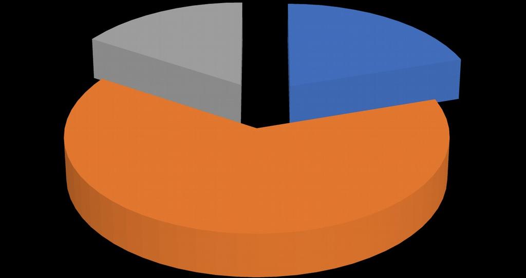 16,00 20,00 64,00 Niski Przecięty Wysoki Rycia 1.