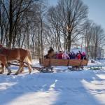 Zwyczaje i obrzędy bożonarodzeniowe na Mazowszu kulig ( w przypadku braku śniegu przejazd wozem) pieczenie kiełbasek przy
