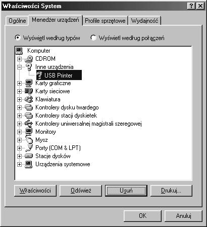 Jeśli w grupie Other devices (Inne urządzenia) wyświetlona jest pozycja USB Printer (Drukarka USB), to sterownik urządzenia drukarki USB jest zainstalowany nieprawidłowo.