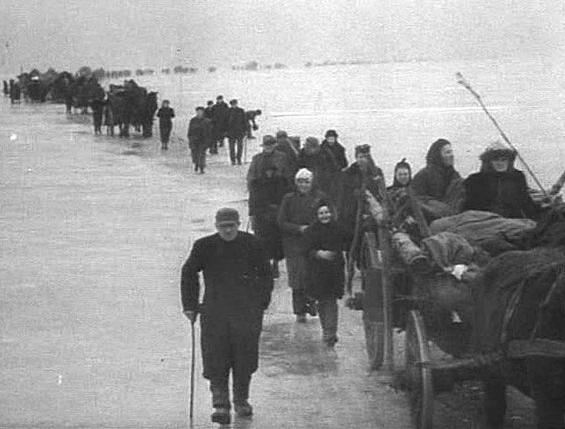 ŁAMANIE PRAW CZŁOWIEKA PODCZAS MIGRACJI LUDNOŚCI 103 strach przed Rosjanami, podsycany przez propagandą nazistowską 32.