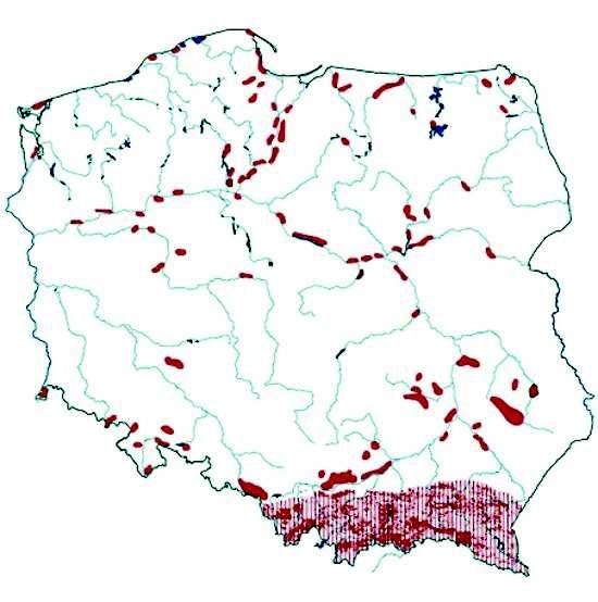 Rys. 1. Rozmieszczenie obszarów zagrożonych ruchami masowymi ziemi w Polsce. Wg. PIG. 2.! Osuwiska i zsuwy podstawowe określenia.