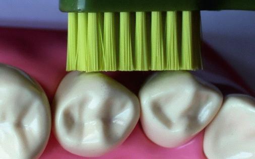 Dzięki przednim dłuższym włóknom szczoteczka, jak podaje producent