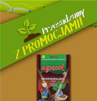 UKORZENIACZ 0,25 KG zawiera wszelkie składniki odżywcze niezbędne w procesach ukorzeniania roślin 100% rozpuszczalny w wodzie 66385337 5. 99 1 szt.