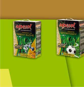 z VAT 26.89 TRAWA GOLD GRASS 1 KG 16476749 14 26 1 szt. z VAT 29.