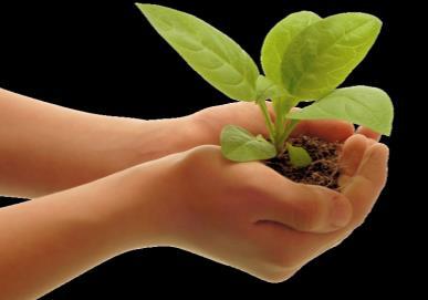 kontenerowe jak i bioflitry powierzchniowe, dodatkowo wszelkie wody procesowe są odseparowane i ujmowane do zbiorników dedykowanych tylko do tego rodzaju wód.