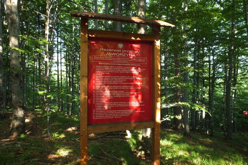 lewej: nieopodal Wysokiego / polana tuż przed Kopanym w tle widok na pasmo które przebyliśmy, od lewej Szyndzielnia, dalej Klimczok Przed nami