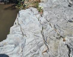 Features of third position: A waterside scarp, resulting from lateral shifting of