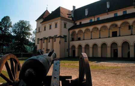 Marekwica Przez Podhale w poszukiwaniu oscypka Górale na Podhalu od wieków wypasali stada owiec na pastwiskach położonych wysoko w górach, czyli na halach.