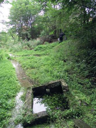 Baścik, September 2011 ) Nisko usytuowany odpływ ułatwia usunięcie drobnych cząstek dostających się do obudowy, dzięki czemu przynajmniej część dna tego źródła nie jest zamulona.