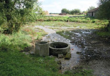 9. Ochrona źródeł. Stan i perspektywy naturalne, lecz kilka z nich jest w mniejszym lub większym stopniu przeobrażone ( tab. 9.4 ).