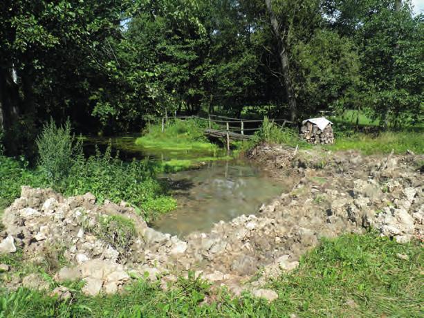 9. Ochrona źródeł. Stan i perspektywy w ich bezpośrednim otoczeniu, niszczenia i uszkadzania szaty roślinnej występującej na obiektach chronionych i w ich bezpośrednim otoczeniu.