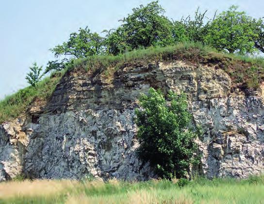 2. Charakterystyka obszaru badań ( miejscami sfyllityzowane ) anchimetamorficzne utwory klastyczne, reprezentujące również flisz ediakarski ( Buła i in. 2008 ; Żelaźniewicz i in. 2011 ).