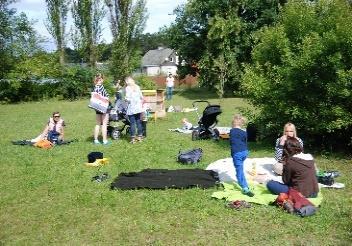krzewów oraz ponad sto gatunków roślin zielnych.
