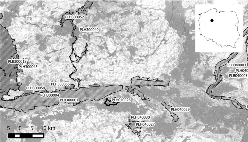 E. Krasicka-Korczyńska, T. Stosik, M. Korczyński Fig.. Lisi Kąt PLH (contour in bold) against other sites of Natura in the region up to m.