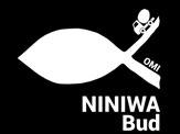 Niby rower, a jednak cegła Niedziela (25.09) w Kokotku obfitowała w niezwykle ciekawe wydarzenia.
