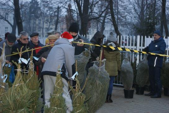 W przypadku tych odnawialnych, jak drewno, ważna jest odpowiedzialna hodowla, zalesianie, zrównoważona gospodarka.