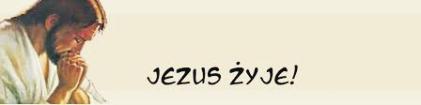 Jest ona krucyfiksem - na d³oniach i stopach Chrystusa widniej¹ œlady ran, Jego rêce s¹ szeroko rozci¹gniête, a rysy t w a r z y p r z y p o m i n a j ¹ r y s y Ukrzy owanego z ca³unu turyñskiego.