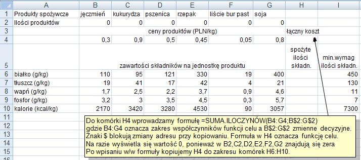 P. Kowalik, Laboratorium badań operacyjnych: zadanie optymalnej diety Kolejnym etapem jest skopiowanie komórki H na zakres H:H0.