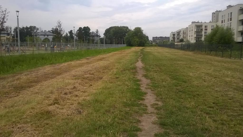 Alejka spacerowa od skwerku do furtki, wzdłuż tabliczki o historii oraz ciekawostkach dzielnicy i okolic, krzewy, drzewka ozdobne i oświetlenie Wzdłuż