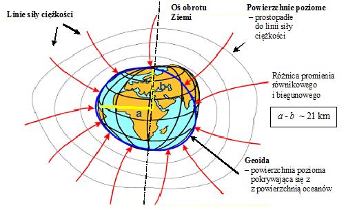Geodeja geometrcna.. Kstałt Ziemi Spłascenie Ziemi Ziemia ma nieregularn spłascon w okolicach bieguna kstałt, ustalon w procesie jej tworenia w wniku diałania sił odśrodkowej.
