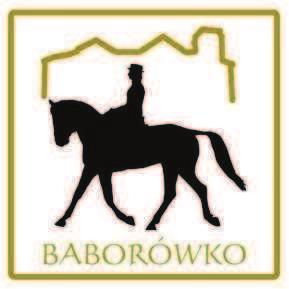 P FINAL RESULTS / WYNIKI KOŃCOWE - CLASS P 1 72 ELABORAT SK Janów Podlaski\SK Janów Podlas Paweł Spisak JKS Dako Galant 48,9 0,0 4:,0 0,0 48,90 og.\xo\c.gn.