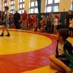 Ursynów w walkach reprezentowało 40 zawodników. Sędzią głównym turnieju był Andrzej Supron.