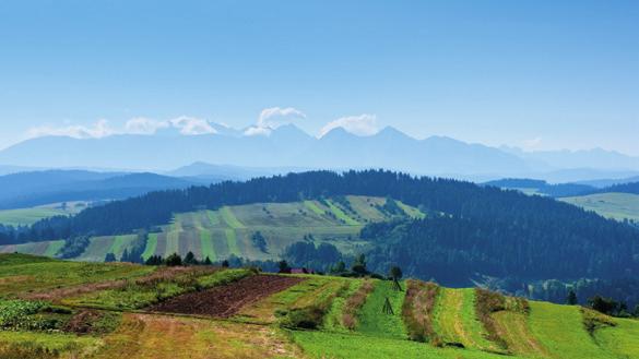 PIENINY Krościenko nad