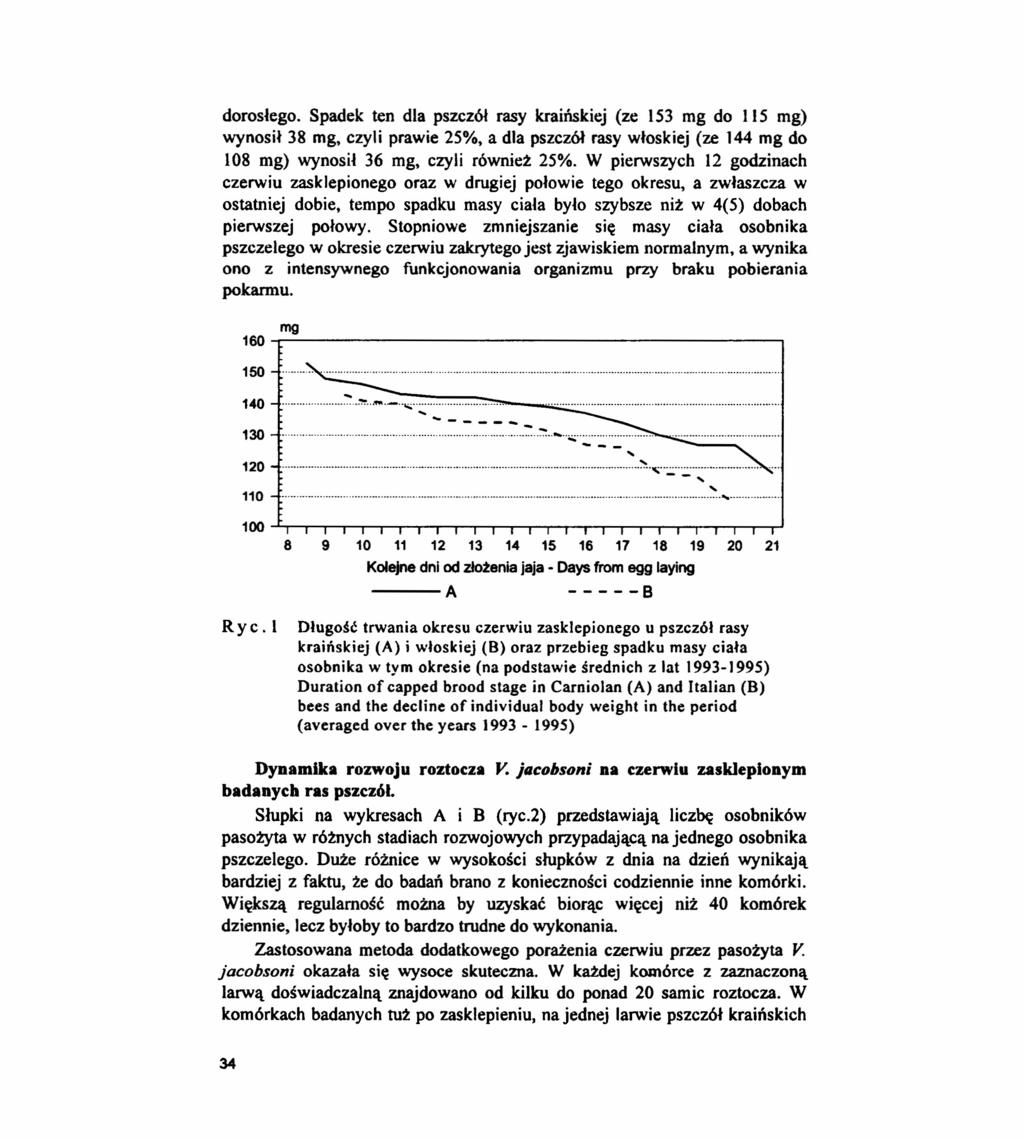 dorosłego. Spadek ten dla pszczół rasy kraińskiej (ze 153 mg do 115 mg) wynosił 38 mg, czyli prawie 25%, a dla pszczół rasy włoskiej (ze 144 mg do 108 mg) wynosił 36 mg, czyli również 25%.