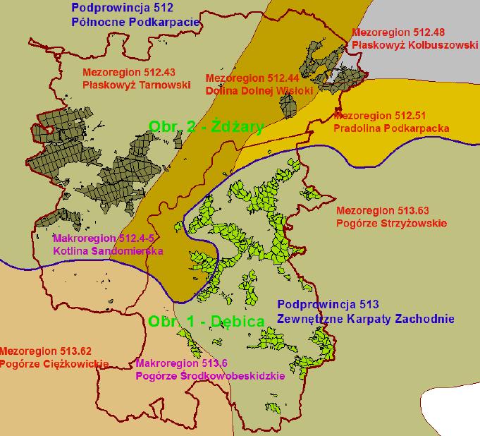 Rycina 3. Położenie Gminy na tle podziału fizyczno-geograficznego wg J. Kondrackiego. Źródło: Plan Urządzenia Lasu Nadleśnictwo Dębica na okres gospodarczy od 1 stycznia 2015 r. do 31 grudnia 2024 r.