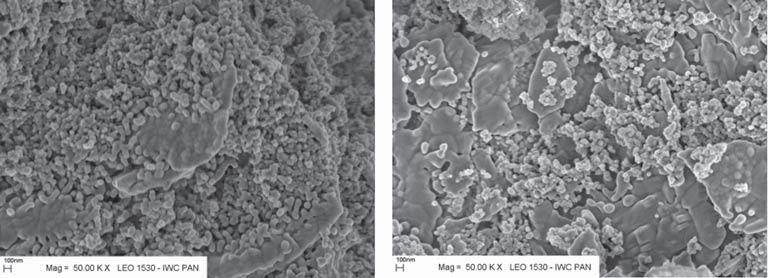 Zdjęcia SEM nanoproszków 0,2% Ce:YAG i 2%