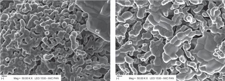 1400 o C. Fig. 10. SEM pictures of 0.