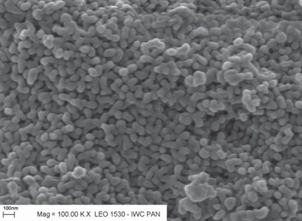 Nanoproszki YAG domieszkowane cerem... Rys. 11. Zdjęcia SEM nanoproszku YAG prażonego w temperaturze 1100 o C. Fig. 11. SEM picture of YAG nanopowder calcinated at 1100 o C.