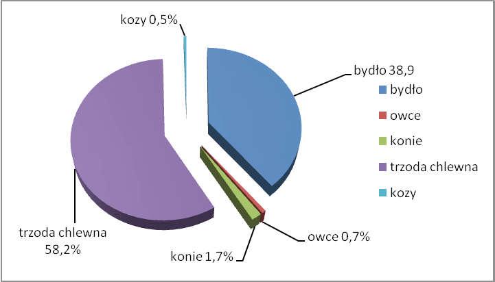 E. Bagnicka i in. rolnego nie nastąpiły znaczące zmiany, o czym świadczą dane z 2015 r. (rys. 1). Kozy są zwierzętami, które mogą być użytkowane w wielu kierunkach.