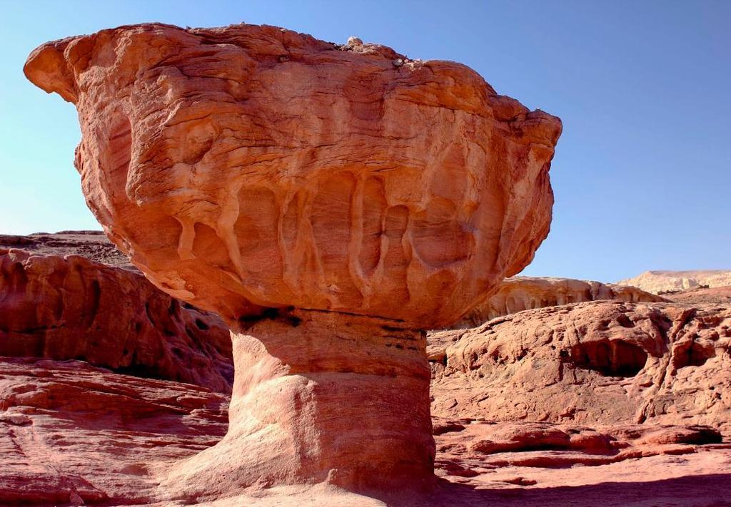 DZIEŃ 2 Sanktuarium ptaków, park timna, coral beach Po śniadaniu jedziemy na wycieczkę