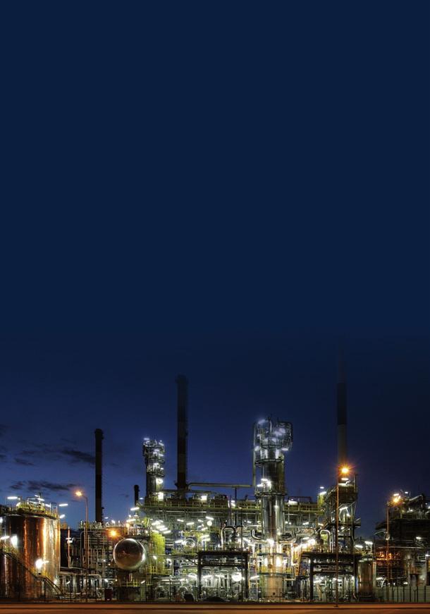 Przedmiotem działalności LOTOS Oil SA jest produkcja i dystrybucja środków smarnych: olejów samochodowych, przemysłowych i smarów, olejów bazowych, a także kosmetyków i chemii samochodowej LOTOS Oil