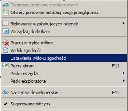 3. Następnie z menu przeglądarki Internet Explorer należy wybrać pozycję Narzędzia, następnie Ustawienia widoku